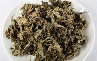 艾草泡脚的功效与作用禁忌