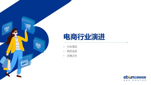 什么是垂直电子商务？