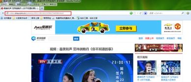 新浪视频如何下载到本地,新浪视频如何下载到手机