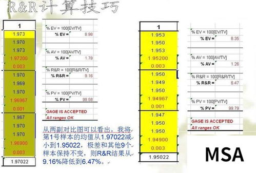 质量管理msa是什么意思，冰箱msa是什么意思
