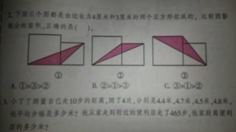 四厘米有多长参照物，四厘米等于多少毫米