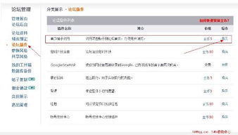 什么叫2d3d4d5d6d7d8d9d电影