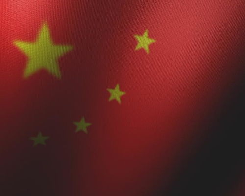 哪里有视频动态素材?