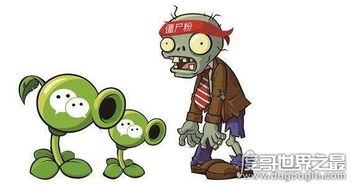 微信中的僵尸粉是什么意思?