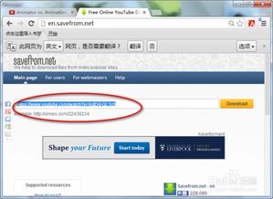 求助！无法下载Youtube视频！！！