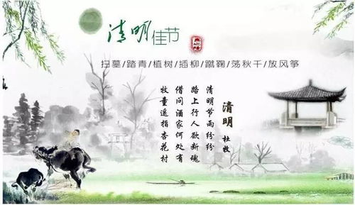 清明节的由来，清明节的由来和风俗作文