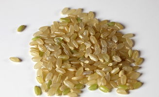 请问：糙米是什么米？糙米的功效和作用是什么？