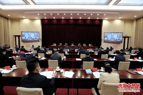 哪个软件可以进行在线会议？