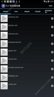 FLV格式视频用什么播放器可以放
