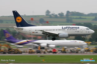 trident z,trident chambers