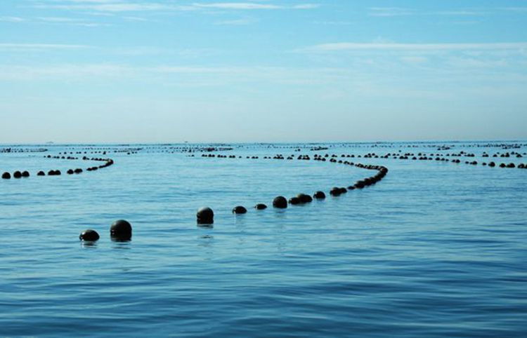 聚海公司是传销吗