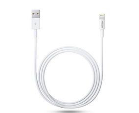 苹果手机充电线大约多少钱？