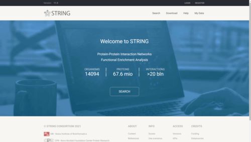 图论中的网络图用什么软件画最简单方便？