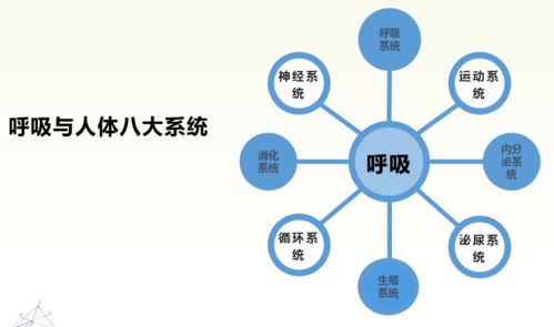 如何健康呼吸？