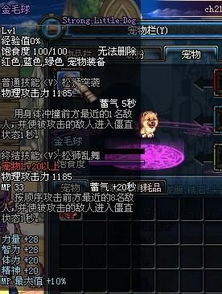 dnf金毛球属性怎么样 属性攻略