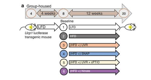 实验设计的通俗解释是啥？