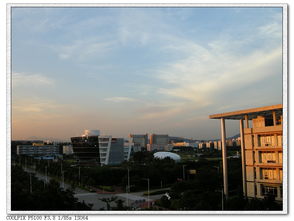 天空软件园和华军软件园谁先建起的？