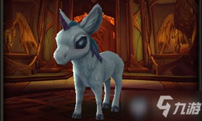 魔兽世界猎人宠物大全