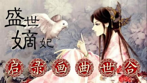 推荐文笔好的穿越小说