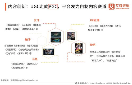 pgc和ugc是什么意思？