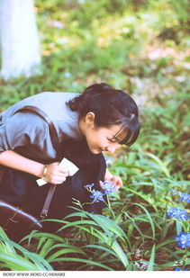 校园时光的基本简介