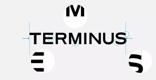 换了萍果X手机特斯联门铃不能开门怎么办?