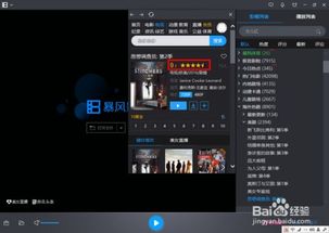 最全最好用的视频播放器是哪个