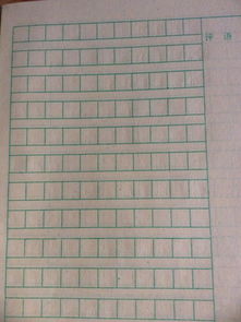 美在身边作文600字记叙文