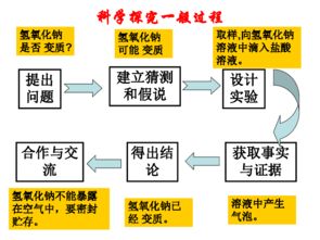 实验设计的定义