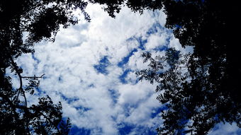 kabylake和skylake的区别是什么？