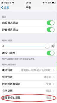 苹果闹钟突然都变成无声