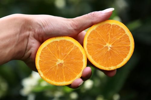 美橙互联云服务器跟阿里云云服务器的区别？