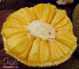 菠萝蜜的吃法