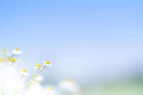 什么是清新脱俗