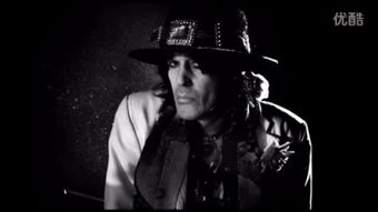 ziggy chen,ziggy chen多少钱