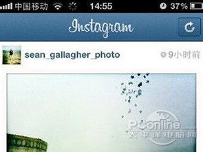 instagram安卓版怎么注册账号