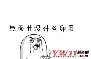 最近的网络流行语是什么？