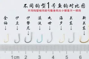 鱼钩品种大全