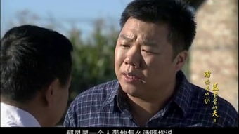 100部农村电视剧