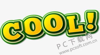 cool中文意思是什么意思