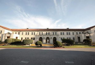 奇点大学为什么叫奇点大学