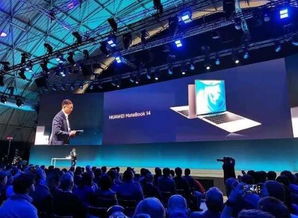 今晚的华为发布会都发布什么东西？