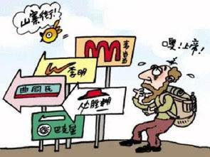 什么是山寨文化？