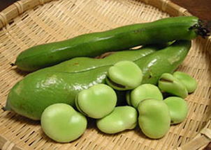 这关怎么过……