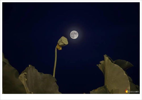 千里眼 顺风耳 腾云驾雾在现代指什么,移动千里眼监控