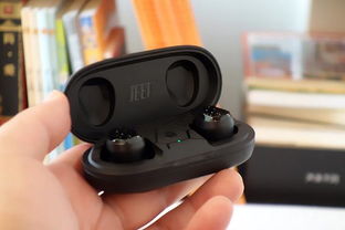 四季竹图片，四季竹子怎么养才能更旺盛