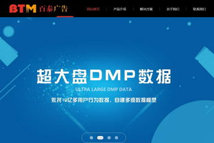 DSP处理器的生产商有哪些