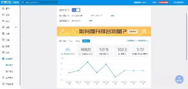 什么是竞价排名？