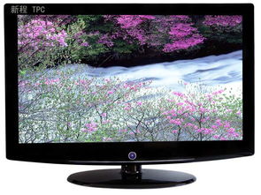 什么牌子的电视最好排名 前十名