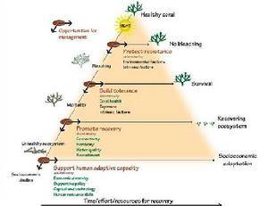 全球气候变暖的影响与危害英文